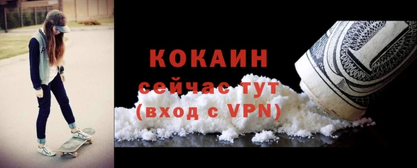 шишки Армянск