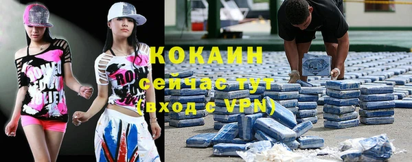 шишки Армянск