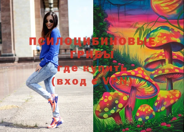 МДПВ Аркадак