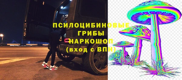 шишки Армянск