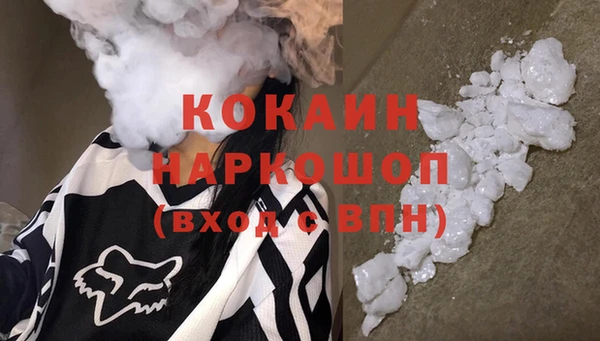 шишки Армянск