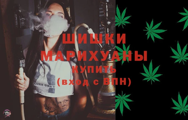 шишки Армянск