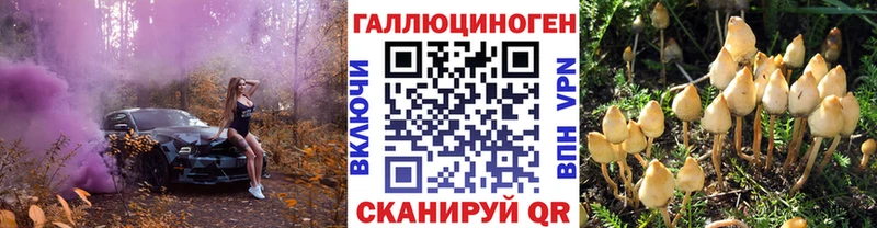 Купить закладки  Злынка  Галлюциногенные грибы прущие грибы 